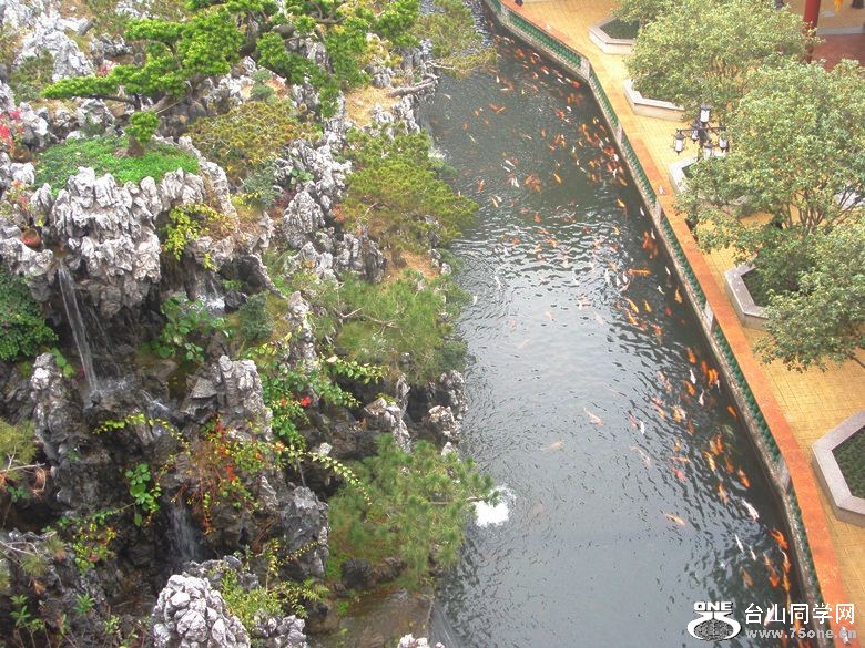 DSC02390_.jpg