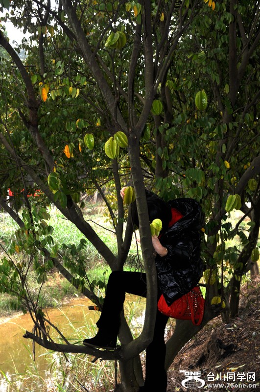 DSC_2931.jpg