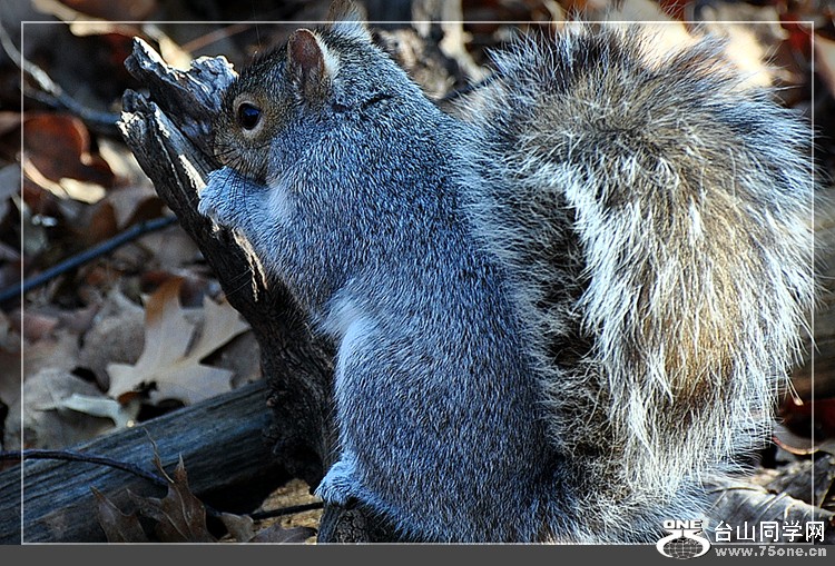 DSC_5999.JPG