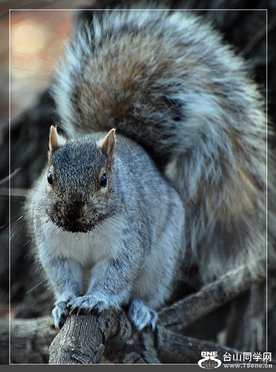 DSC_6007.JPG