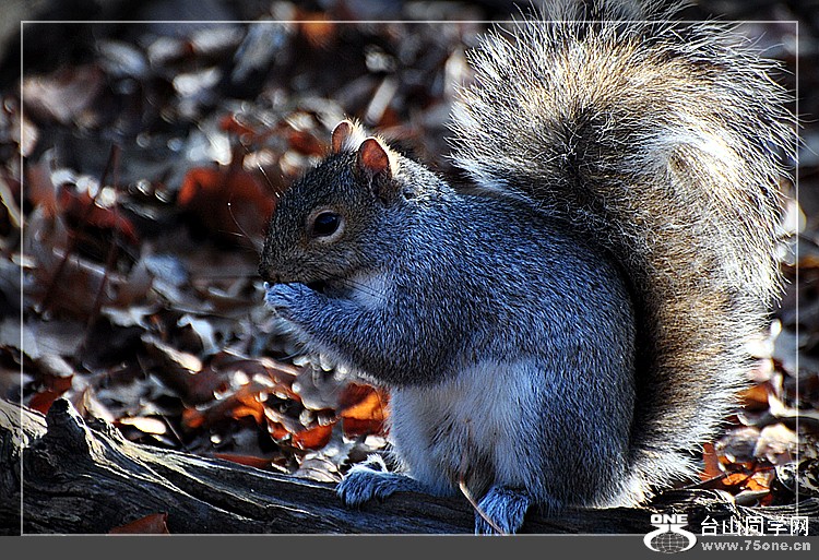 DSC_5982.JPG