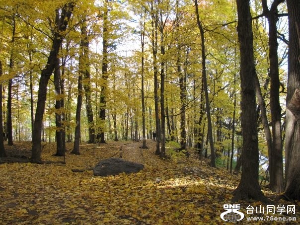 highpark8.jpg