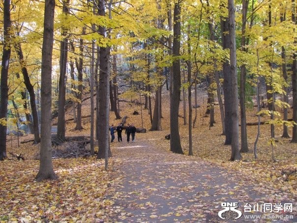 highpark5.jpg