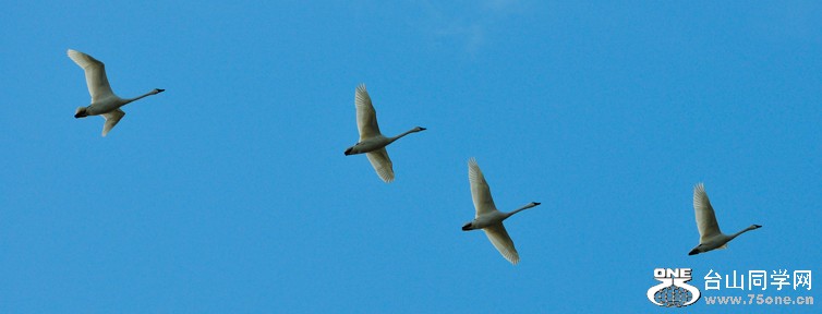 DSC_1939.jpg