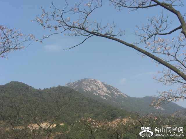 CIMG6946.JPG