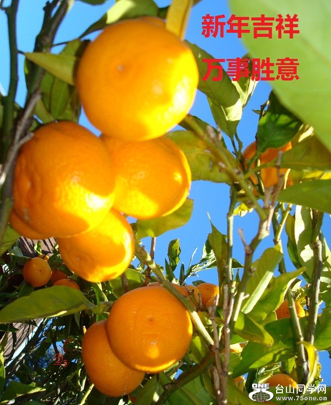 DSC00877-d.jpg