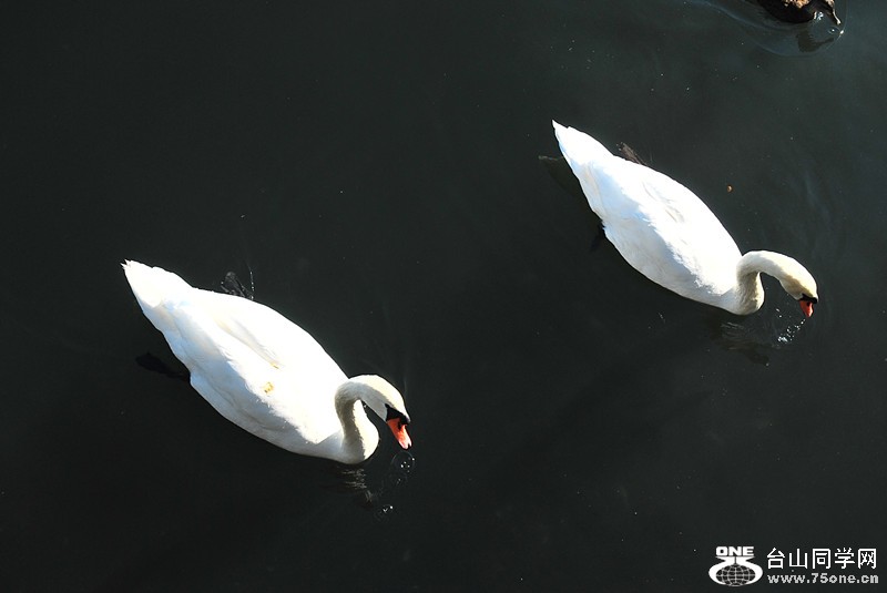 DSC_0222_.jpg