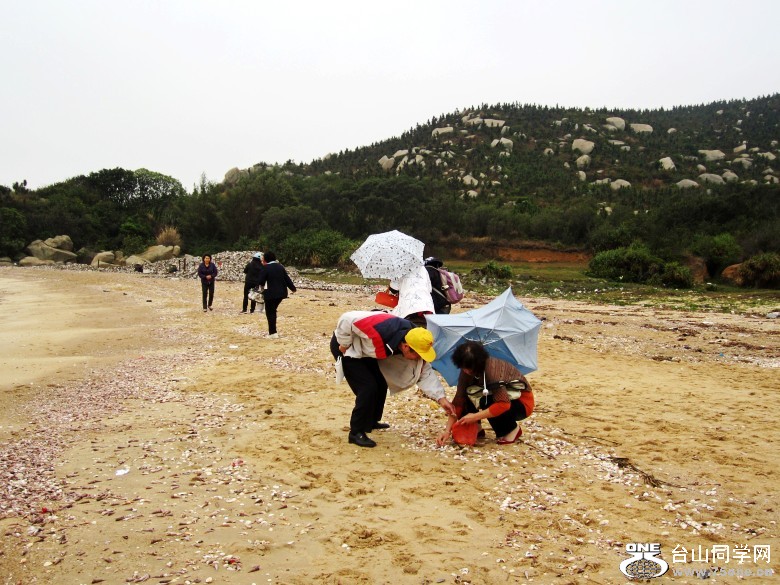 2012225 057_conew1.jpg