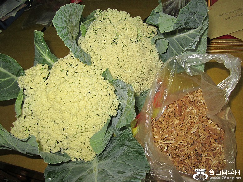 2012225 022_conew1.jpg
