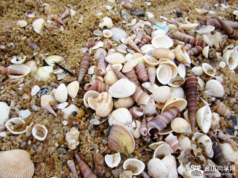 2012225 060_conew1.jpg