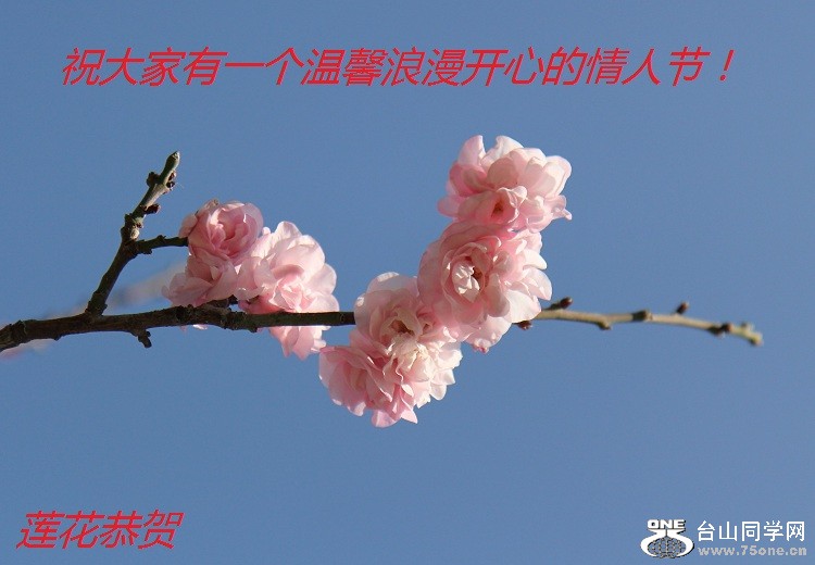 IMG_3385-2-3.jpg