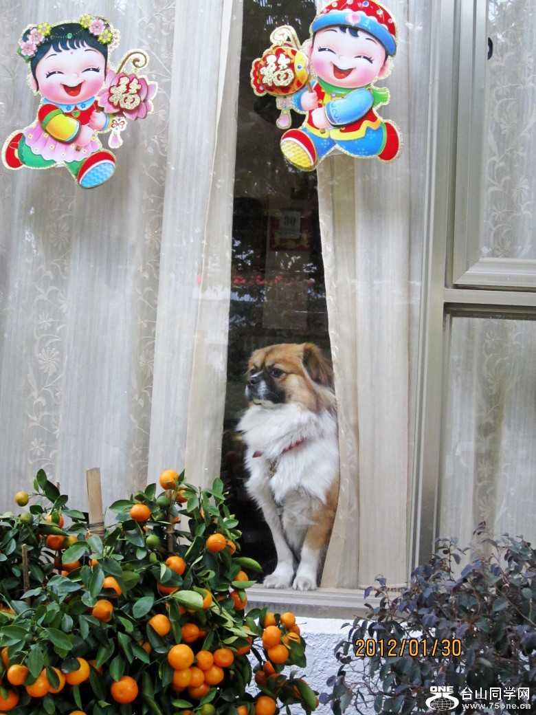 ��̨�¡���������� 043_conew1.jpg