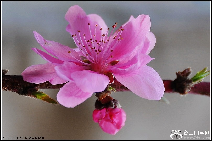 DSC_7637.jpg