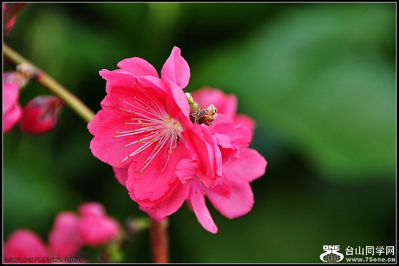 DSC_7567.jpg