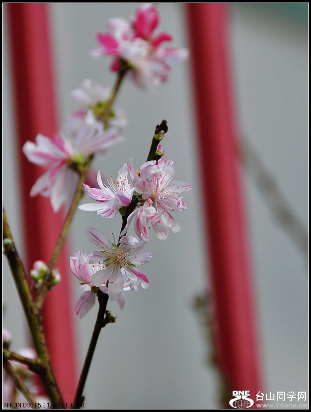 DSC_7631.jpg