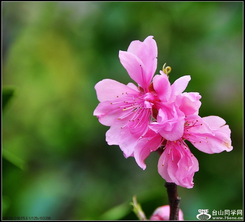 DSC_7636.jpg