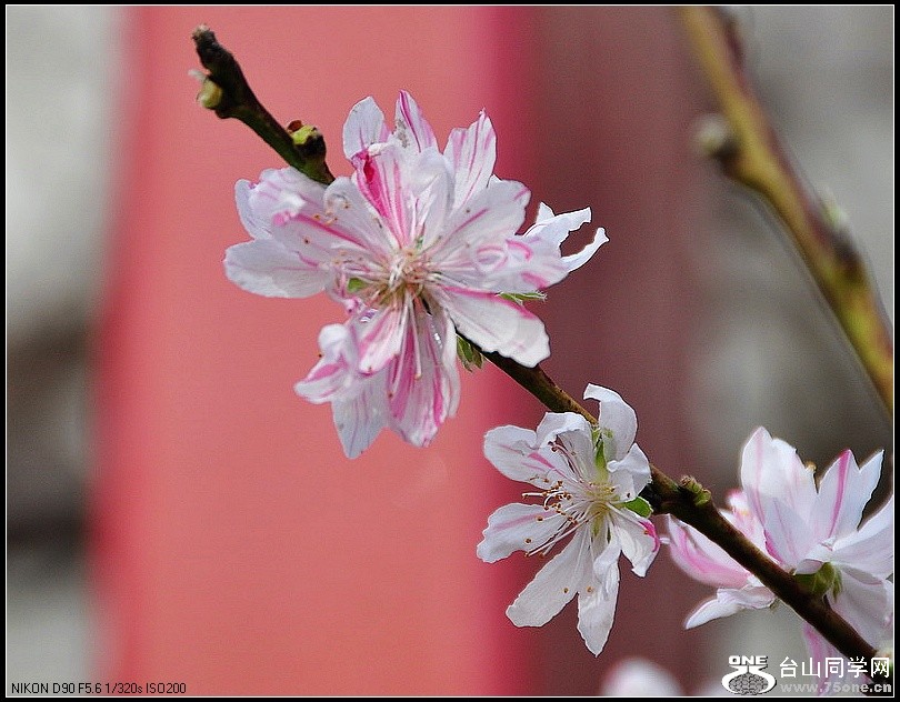 DSC_7634.jpg