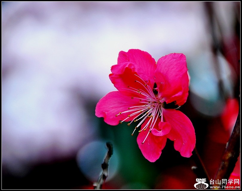 DSC_7564.jpg