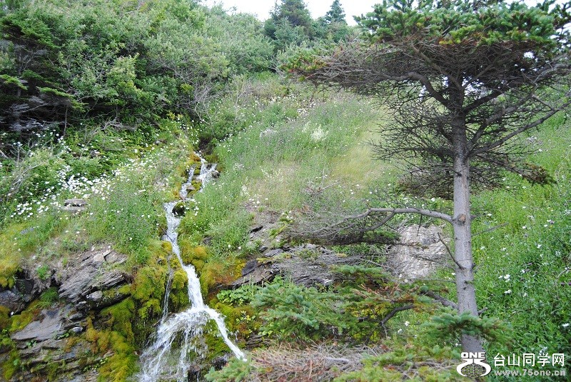 DSC_4664.JPG