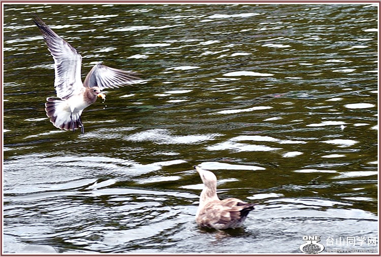dsc_6562.jpg