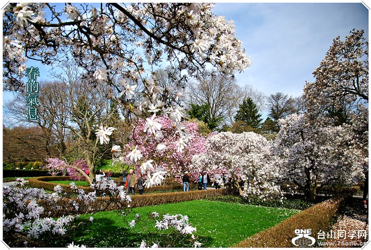 dsc_3748a.jpg