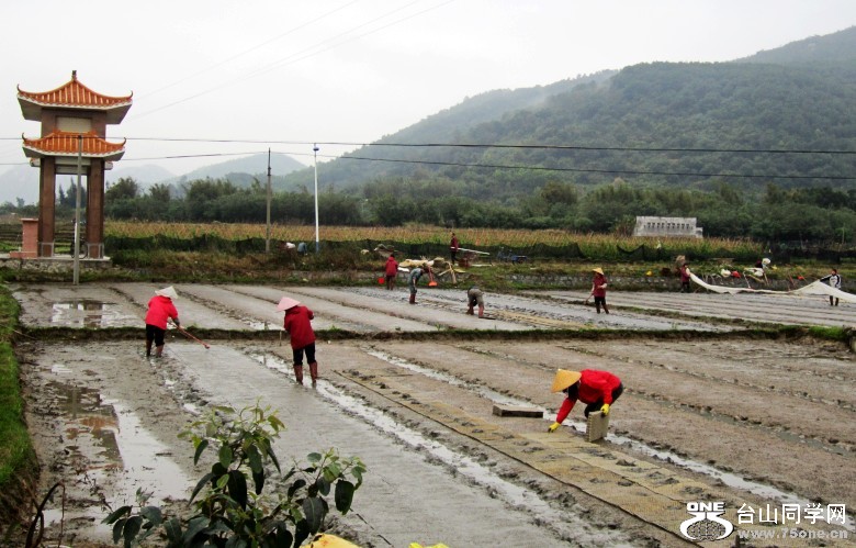 ����������2012��2��25 042_conew2.jpg