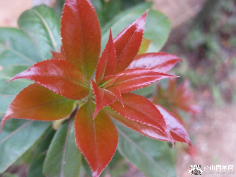 2012.3.31 016.jpg