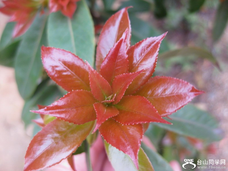 2012.3.31 015.jpg