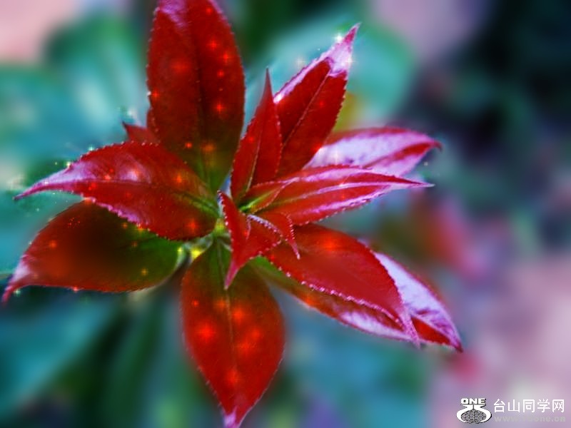 204_35655_51284e16143c55b_conew43.jpg