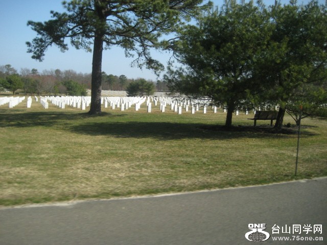 IMG_0001_193.jpg