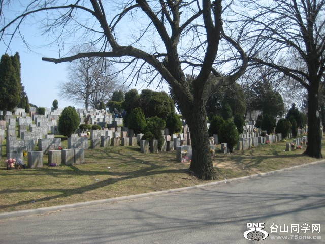 IMG_0001_213.jpg