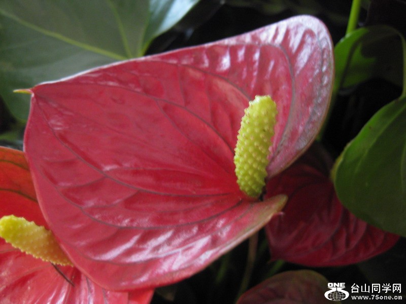 2012.3.25 022.jpg