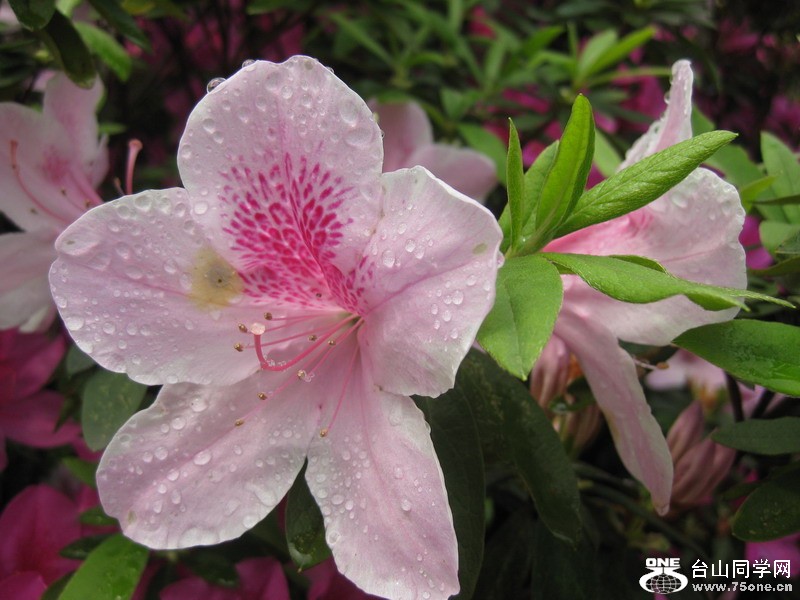 2012.3.16.ƽ 040.jpg