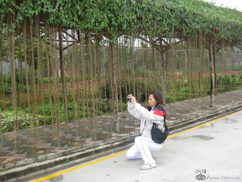 ƽ102012.3.9 047.jpg