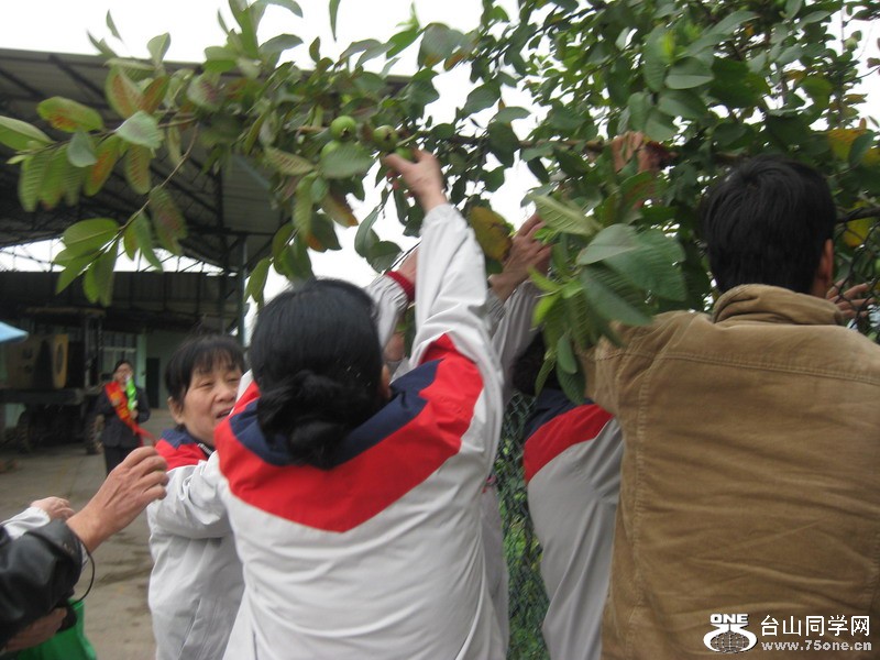ƽ102012.3.9 029.jpg