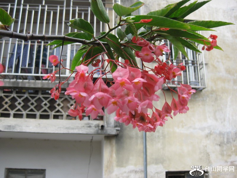 2012.3.23.B 076.jpg