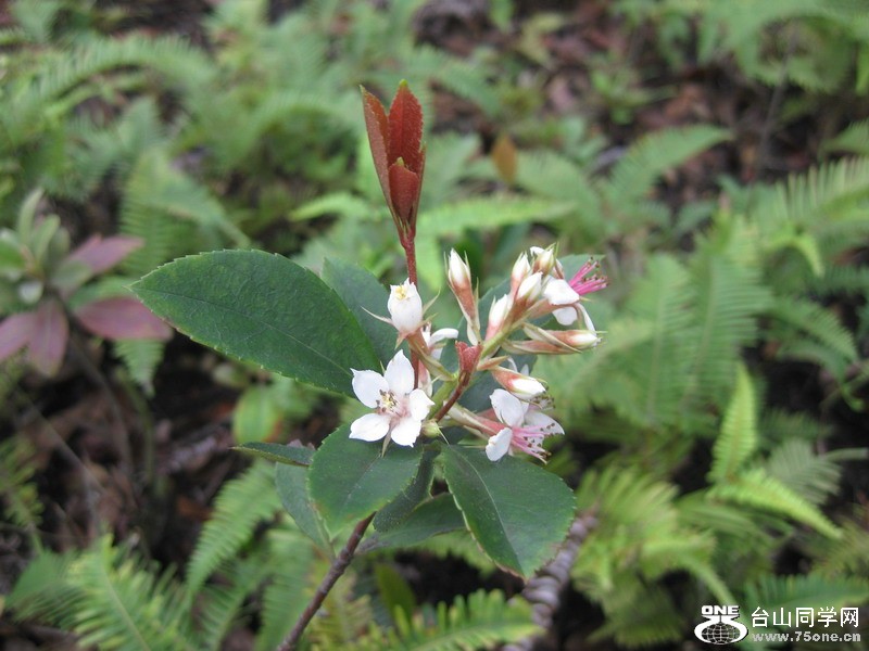 2012.3.10 194.jpg