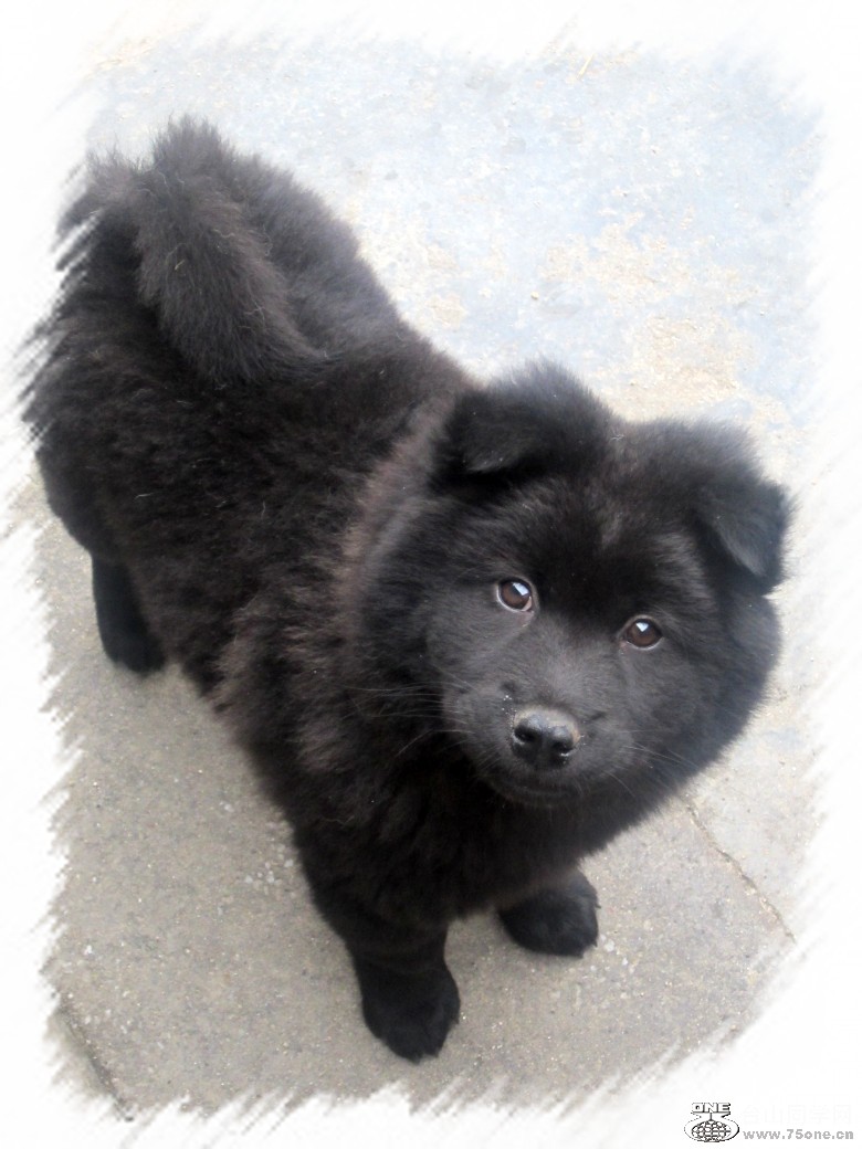 2012225 369_conew1.jpg