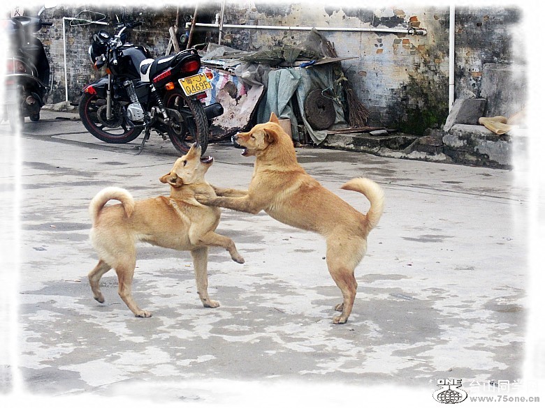 2012.3.3 005_conew1.jpg
