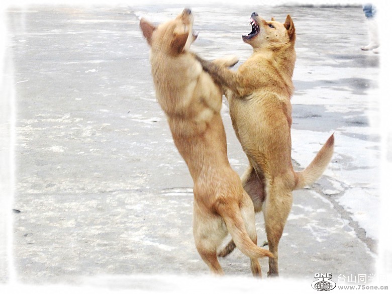 2012.3.3 013_conew1.jpg