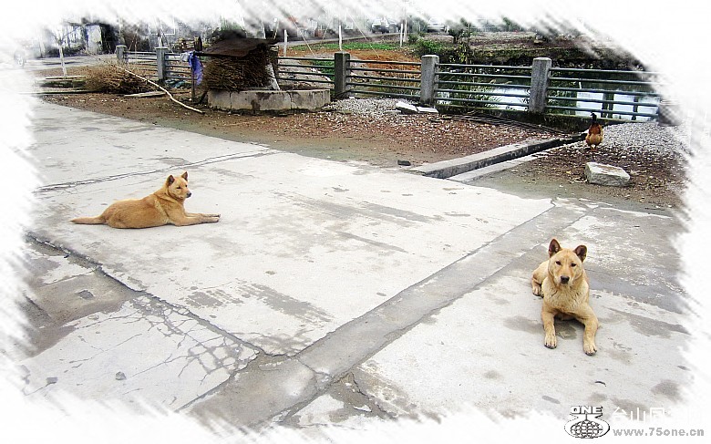 2012.3.3 018_conew1.jpg