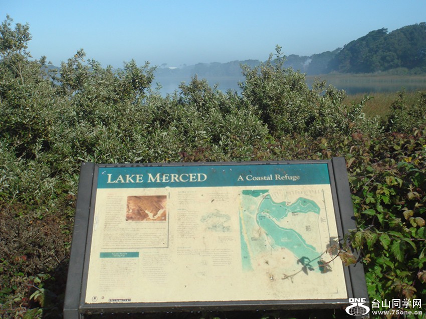 DSC01864_.jpg