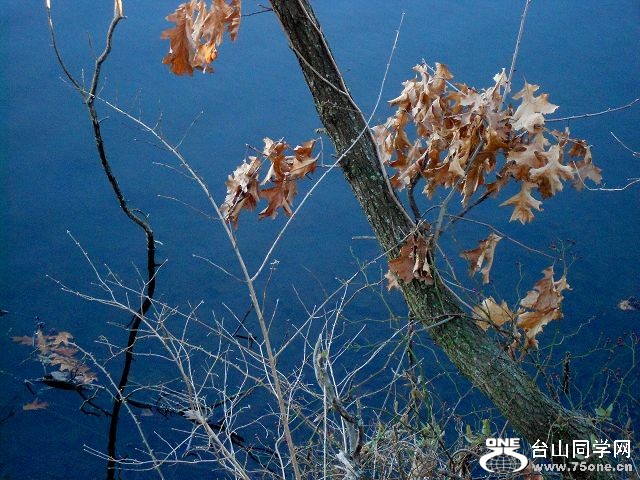 DSCN0781.jpg