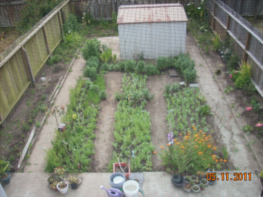 DSCN3387.JPG
