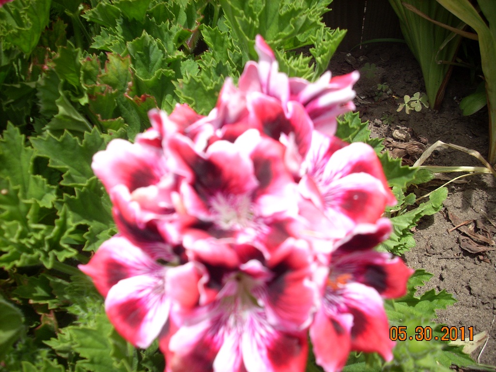 DSCN3391.JPG