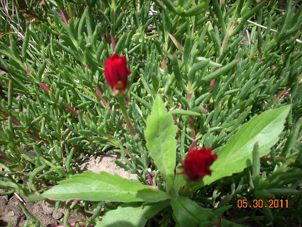 DSCN3393.JPG