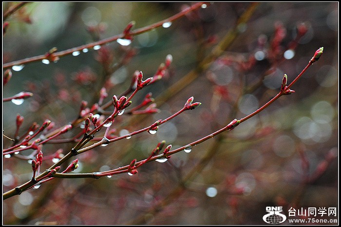 DSC_2702.JPG