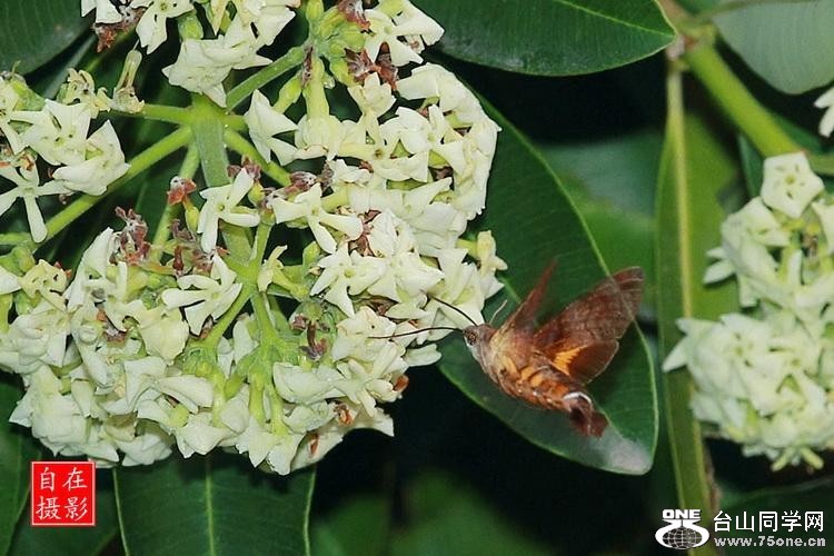 2_1175_c789a414fc2d2bc[1].jpg