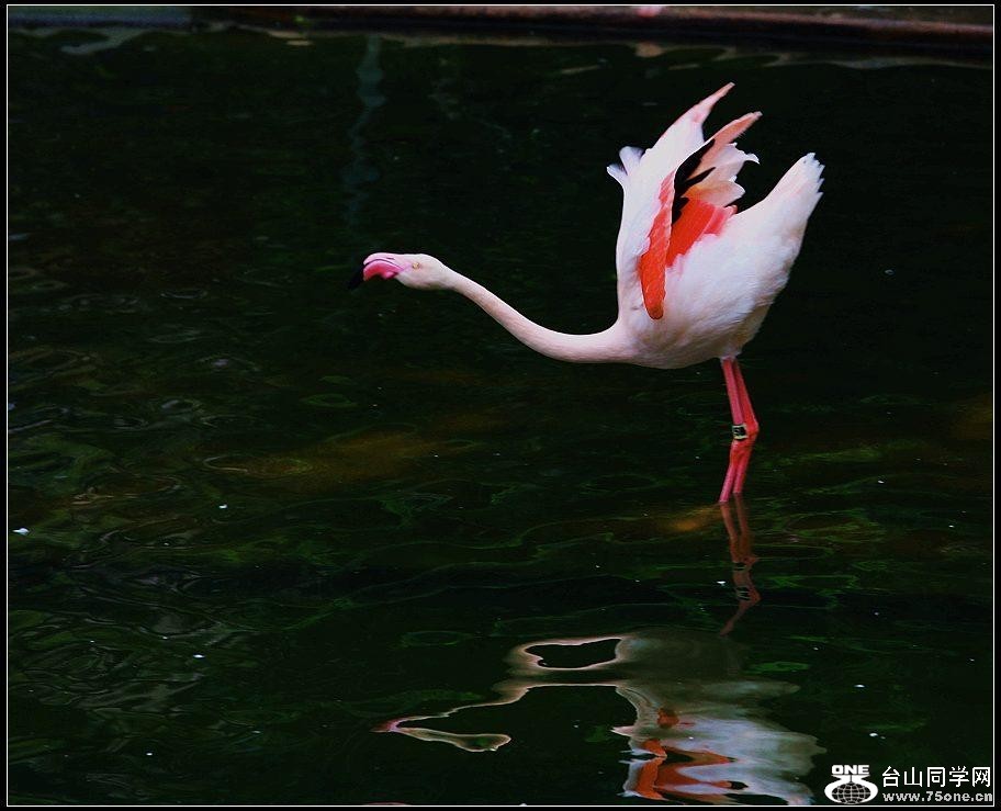 2_4592_ef176d53abef185[1].jpg