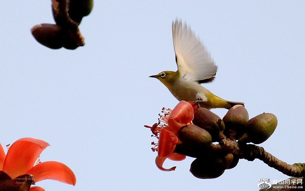 IMG_3776.jpg